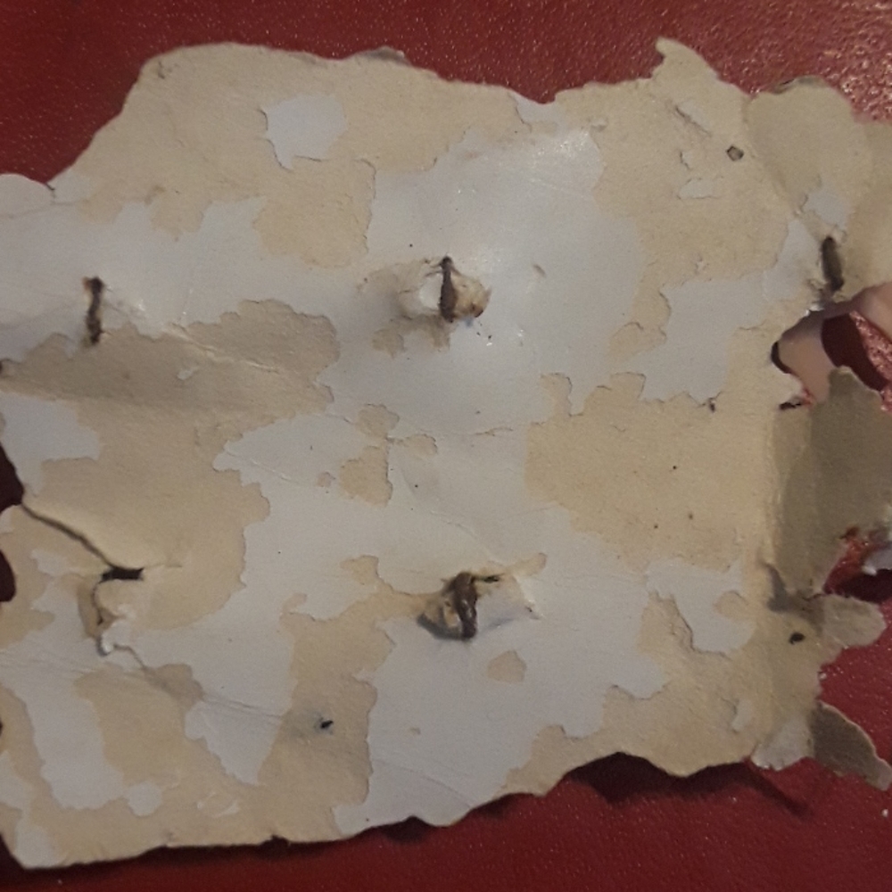 Buttons - Picture 6 of 7